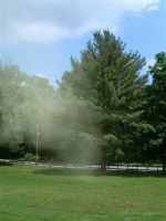 Count the pollen