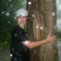 Let it Rain