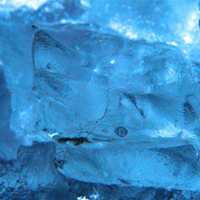 Ice Age