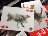 Cat Card