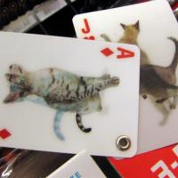 Cat Card