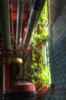 Living Machine