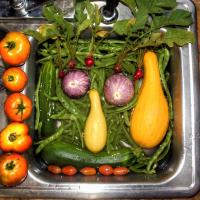 Veggies