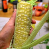 Corn