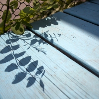 Shadowlands