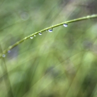 Rainy Day
