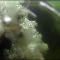 The Plunge