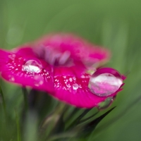 Rainy Day