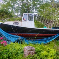 Pride of the Fleet