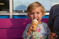 The Ice Cream Bandit