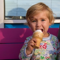 The Ice Cream Bandit