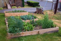 Catskill Community Garden