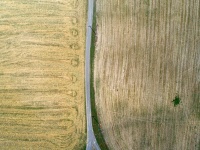 A Road Runs Through It
