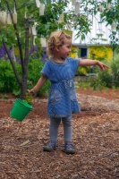 Garden Planning