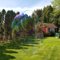 Bubble Garden