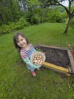 Eggy Garden