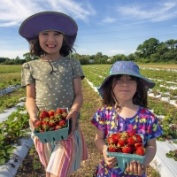 Happy Pickers