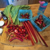 Pie Prep