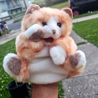 Paw-don Me