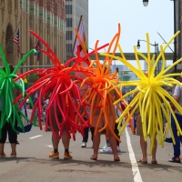 Colourful Critters