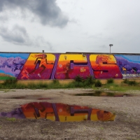 DCS