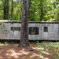 Woodsy Charm