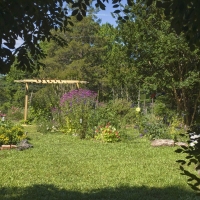 Along the Garden Path