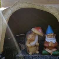 No Place Like Gnome