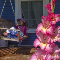 Pink On the Porch