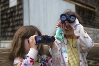 Birding