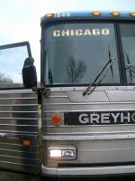 Trusty Greyhound
