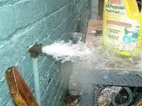 Drip Drip