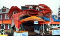 Feeling Crabby