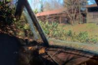 Through the Front Window
