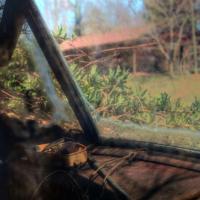 Through the Front Window