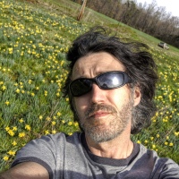 Stuck in a Field