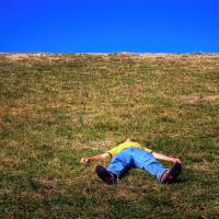 Grass Sky Nap