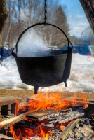 Making Maple Syrup