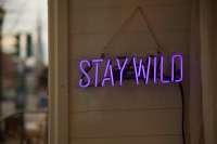 Stay Wild