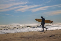 Surfer