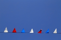 Bunting