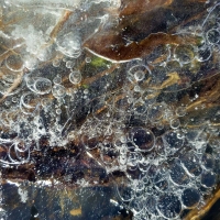 Bubble Stack