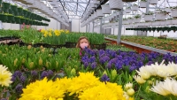 Flower Girl