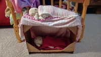 Cardboard Creation Stage 1