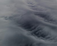Cloud Forms