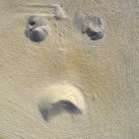 Happy Tracking