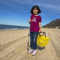 Beachcombing