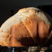 Bread