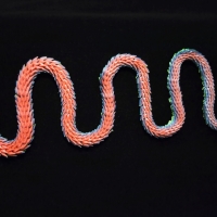 Fay's Pet Snake