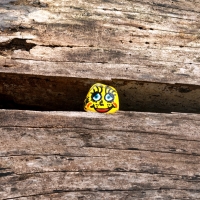 In a Hard Place